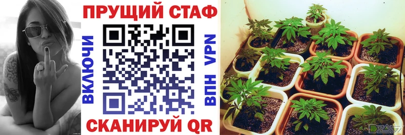 Где продают наркотики Зубцов ЭКСТАЗИ  КОКАИН  Меф  ГАШИШ 