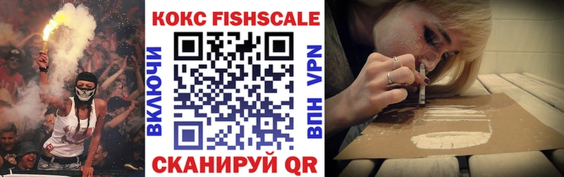 COCAIN Fish Scale Зубцов