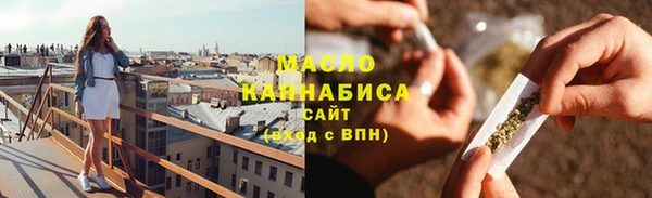 гидра Бородино