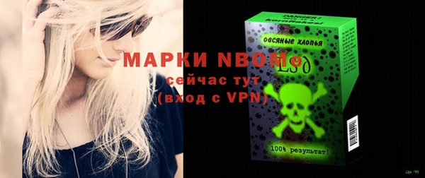 гидра Бородино