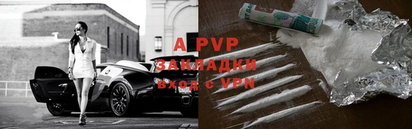 гидра Бородино
