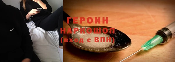 гидра Бородино