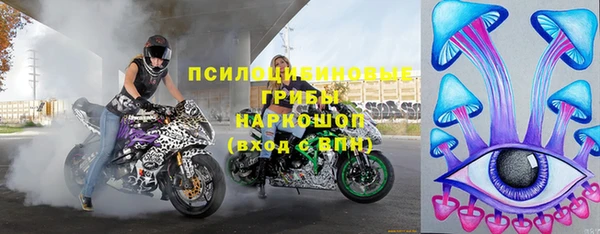 дмт Верея