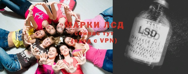 гидра Бородино