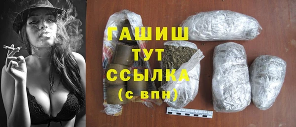 гидра Бородино