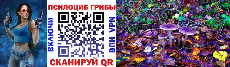 Псилоцибиновые грибы ЛСД  Зубцов 